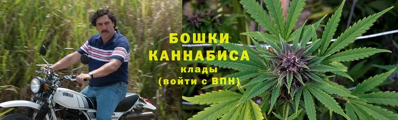 Бошки Шишки Bruce Banner  где купить наркоту  Магадан 